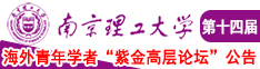 小穴被怼南京理工大学第十四届海外青年学者紫金论坛诚邀海内外英才！